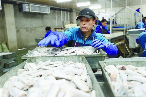 连云港规上工业企业稳产增 食品经营助力经济社会发展首季开门红