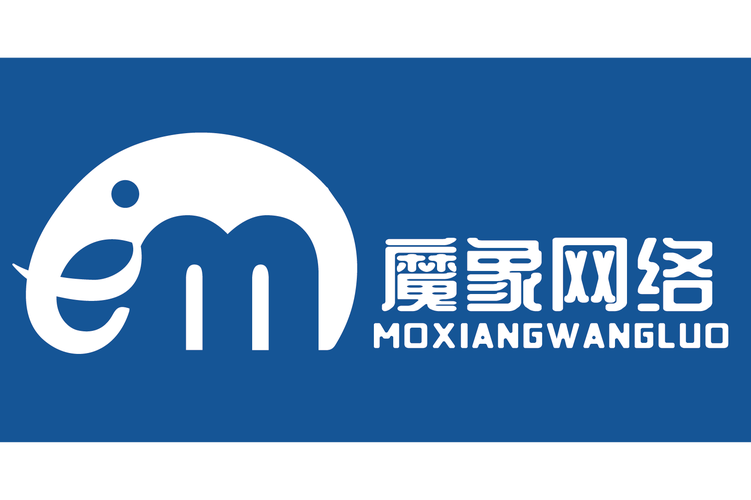 上海魔象网络技术 深耕网络技术服务，助力企业数字化升级