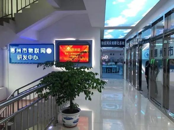 网络技术服务专业全解析 数字时代的基建者与守护者